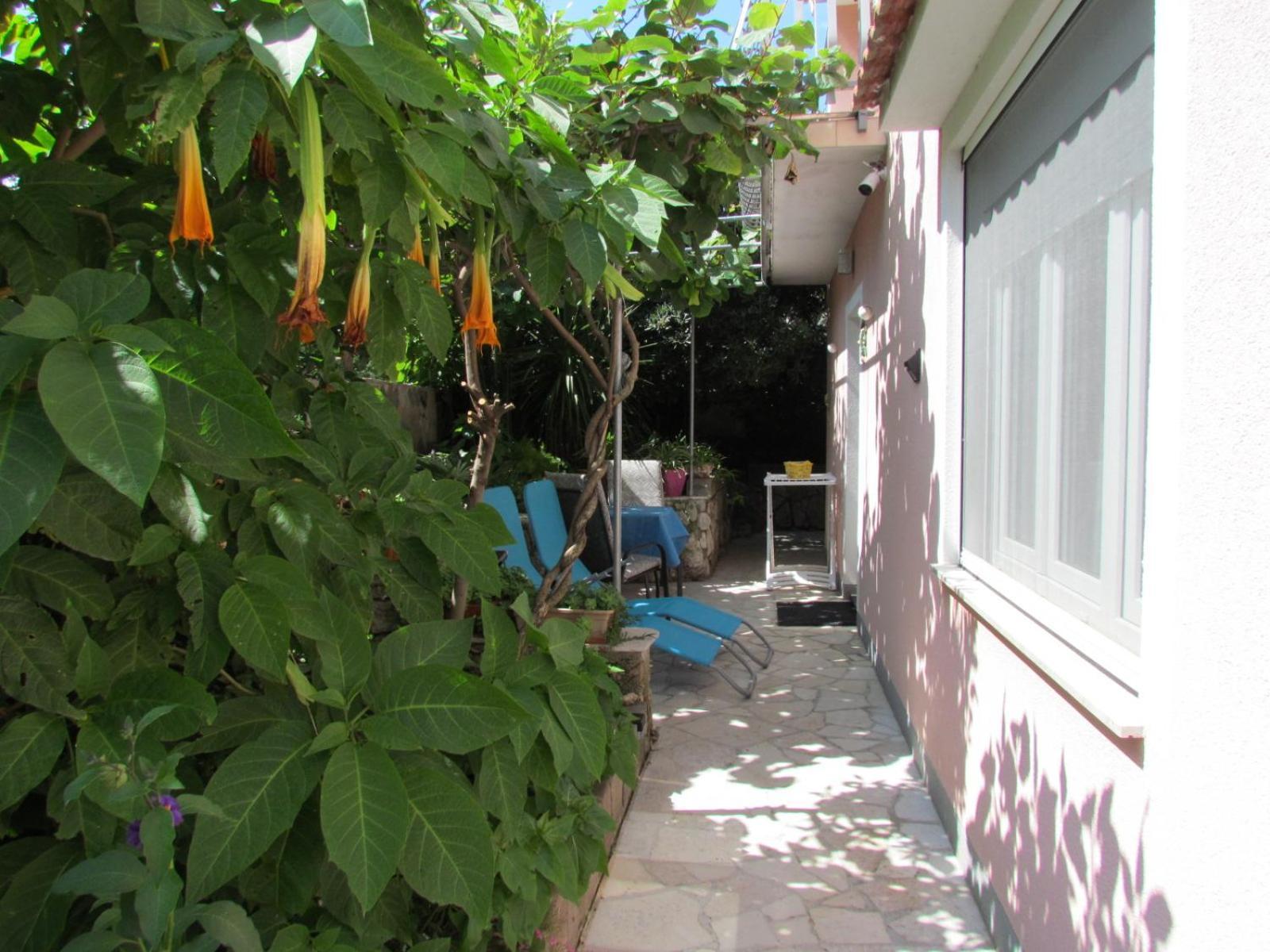 Apartments Bura & Jugo, Cres, Without Stress Eksteriør bilde
